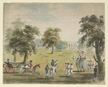 Cheetah-chase-deer-Barracpore