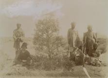 Basra Date Palm, the Botanical Garden in Bengal--photo-430_8_0018_webcrop_2