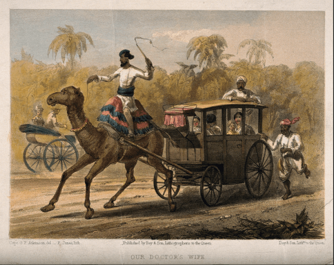 CamelCarriage_Atkinson_1860