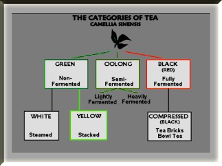 TeaTypeTable